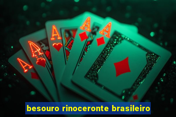 besouro rinoceronte brasileiro